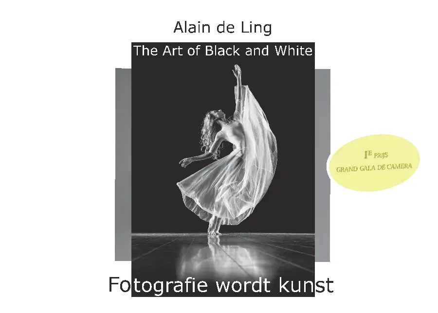 The Art of Black and White / 1