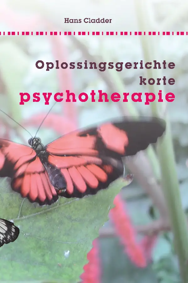 Oplossingsgerichte korte psychotherapie
