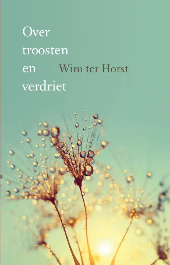 Over troosten en verdriet - eBoek