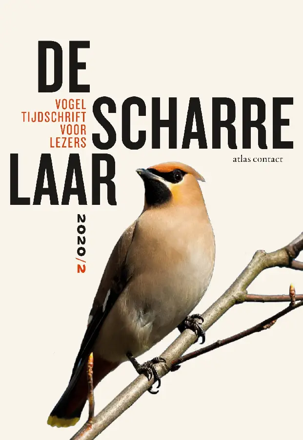 De scharrelaar / 2020/2