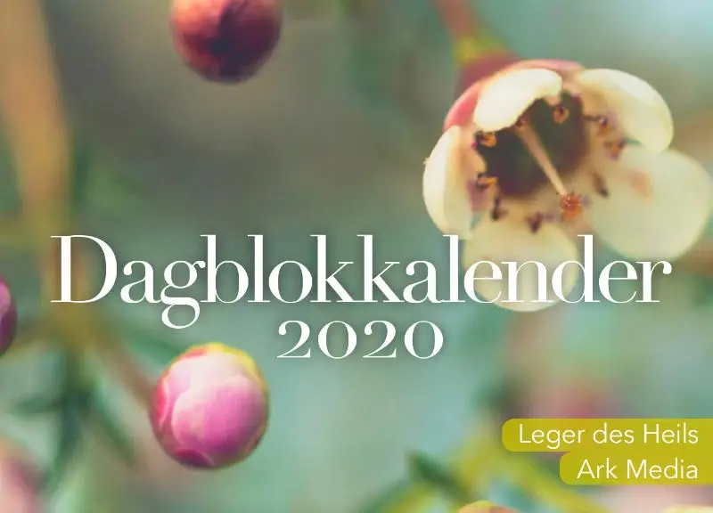 Dag in dag uit 2020 dagblokkalender