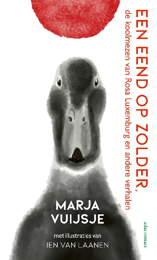 Een eend op zolder