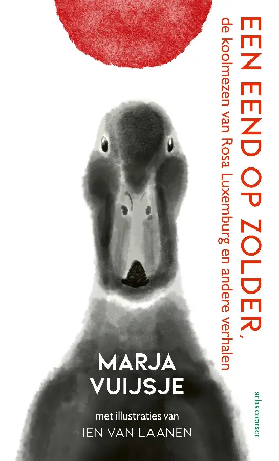 Een eend op zolder