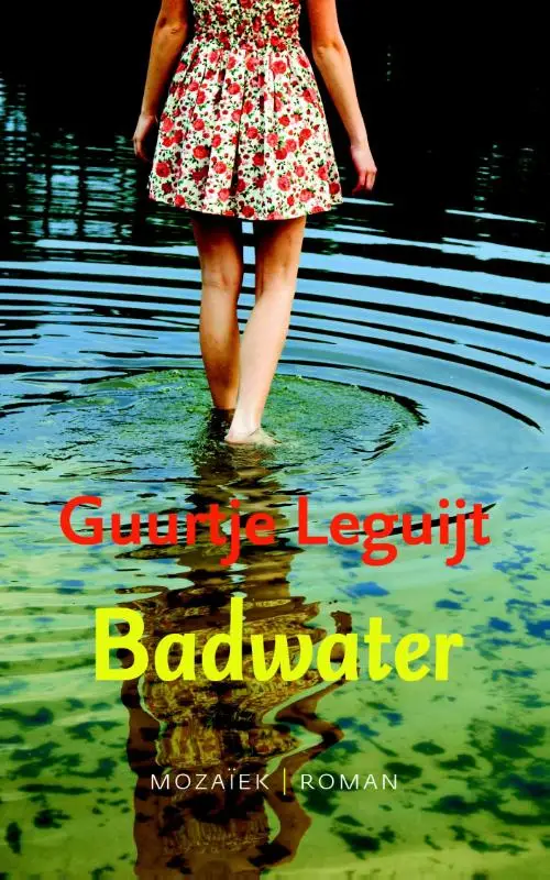Badwater - eBoek