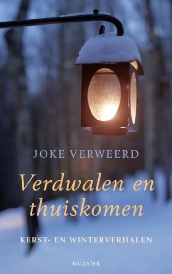 Verdwalen en thuiskomen - eBoek