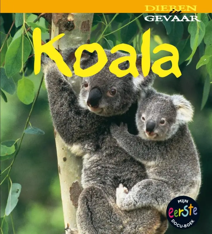 Koala