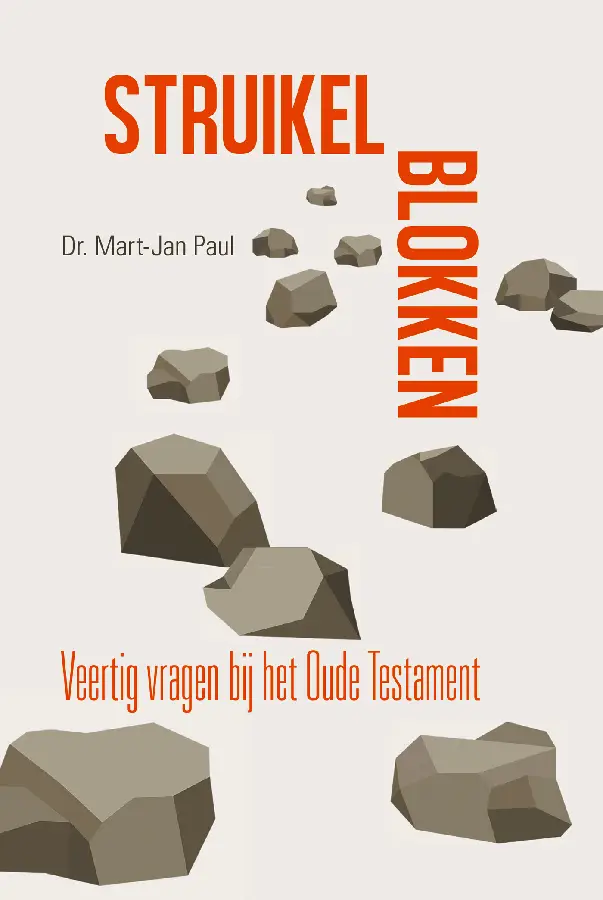 Struikelblokken - eBoek
