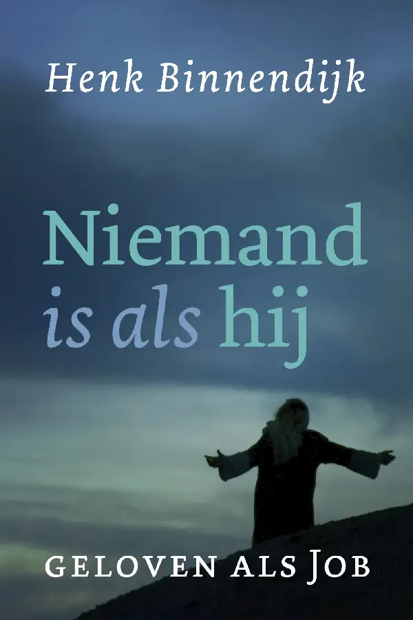 Niemand is als hij - eBoek
