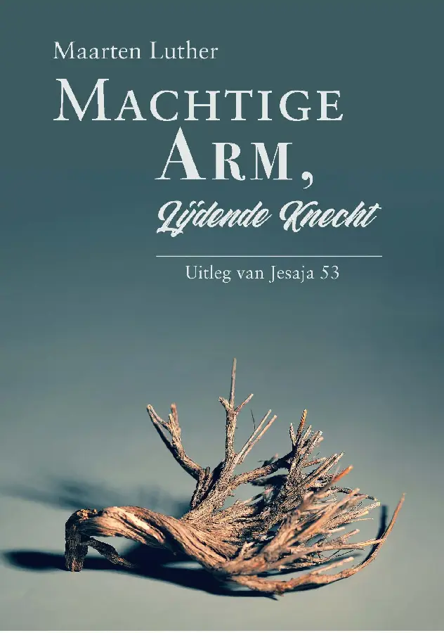 Machtige Arm, lijdende Knecht - eBoek