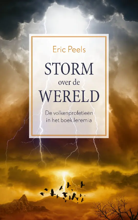 Storm over de wereld - eBoek