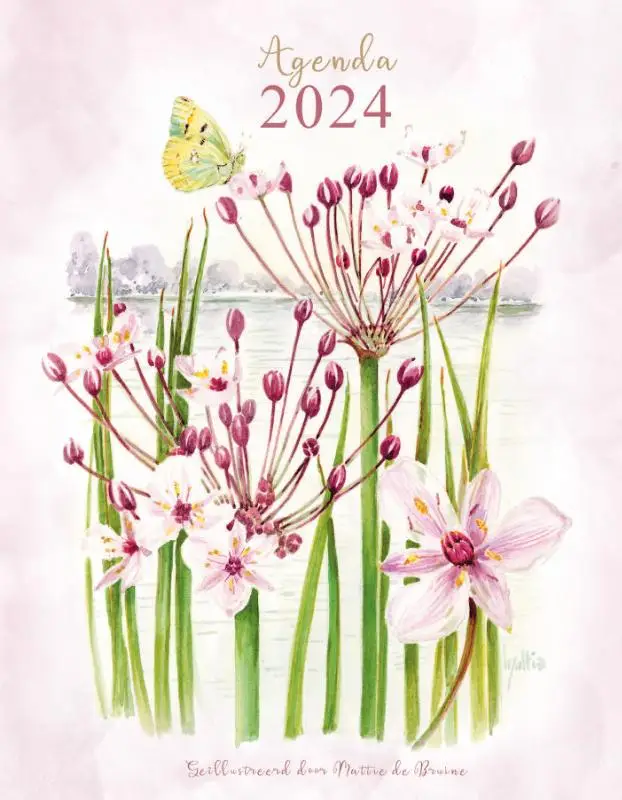Mattie agenda 2024