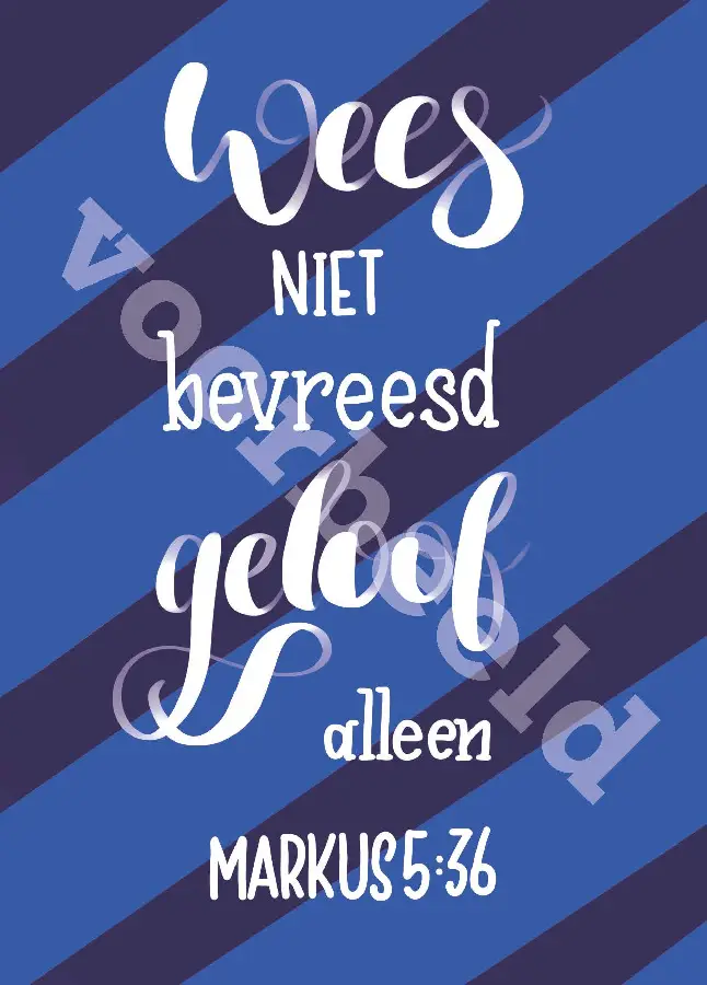 WK Good Seed Cards 8031| Markus 5:36