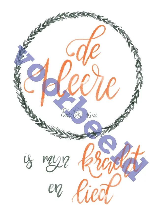 WK Good Seed Cards 8035 | Exodus 15:2