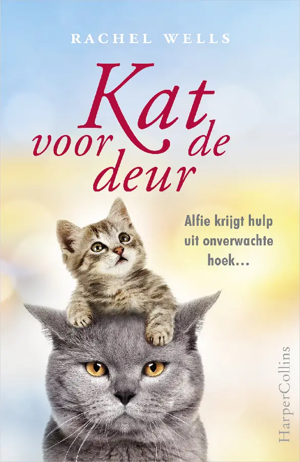 Kat voor de deur