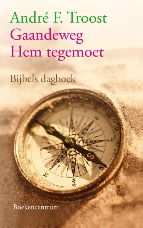 Gaandeweg Hem tegemoet - eBoek