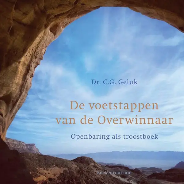 De voetstappen van de overwinnaar - eBoe