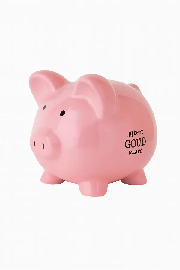 Spaarvarken groot jij bent waardevol roz