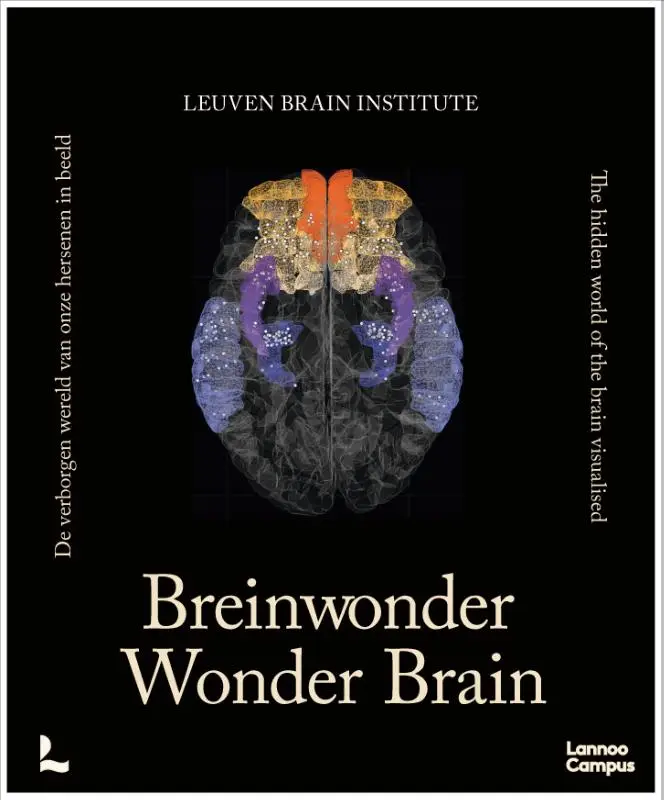Breinwonder / Wonder Brain