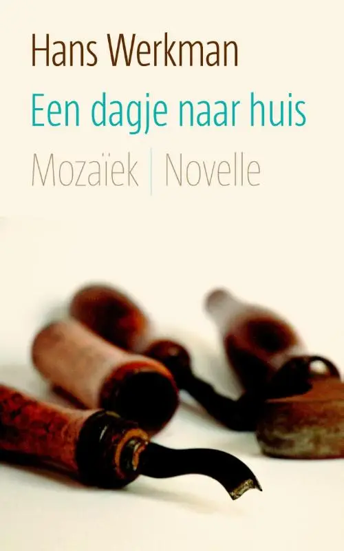 Een dagje naar huis - eBoek