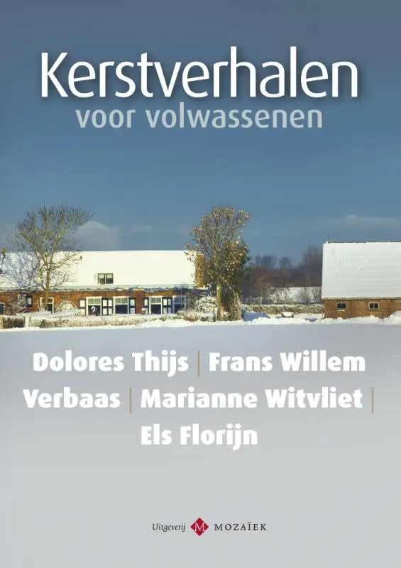 Kerstverhalen voor volwassenen / 2  - eBoek