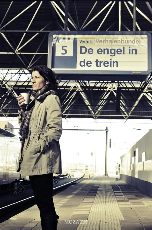 De engel in de trein - eBoek