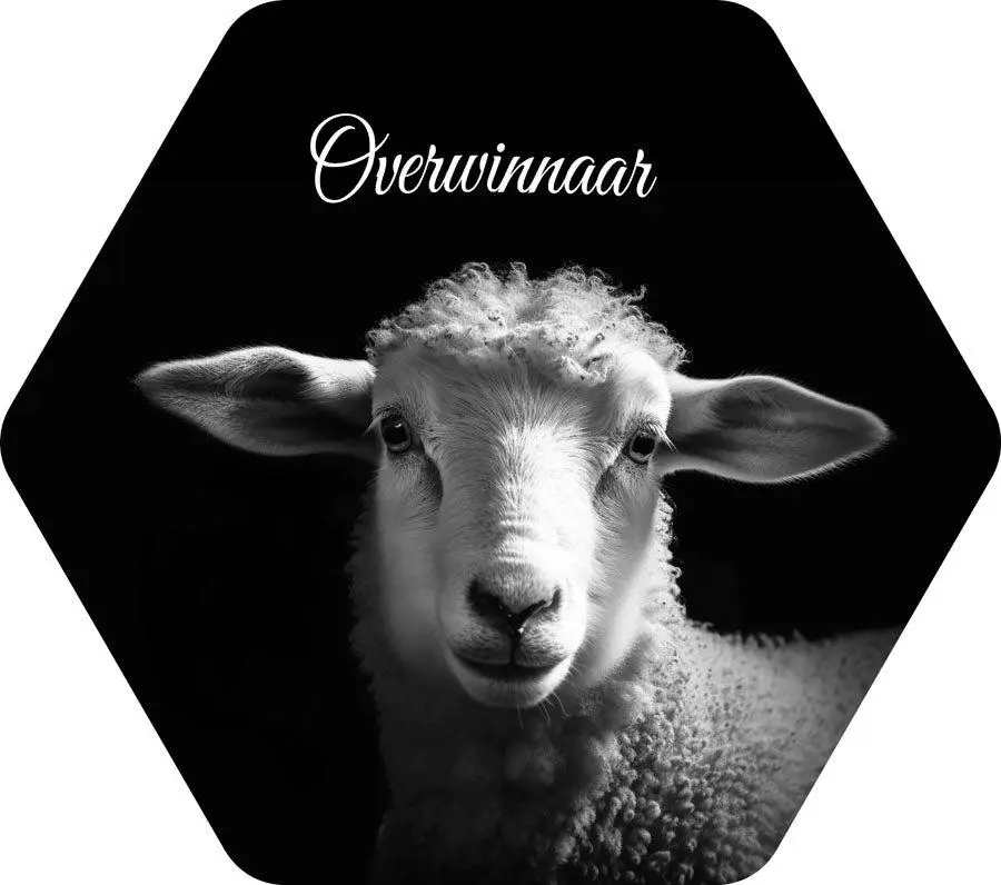 Bord Lam Overwinnaar