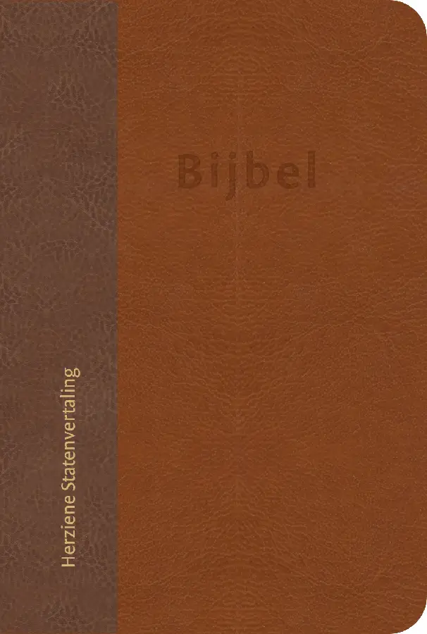 Huisbijbel HSV 16 x 24 cm Viv-Goudsn.IND