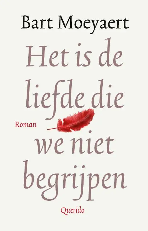 Het is de liefde die we niet begrijpen