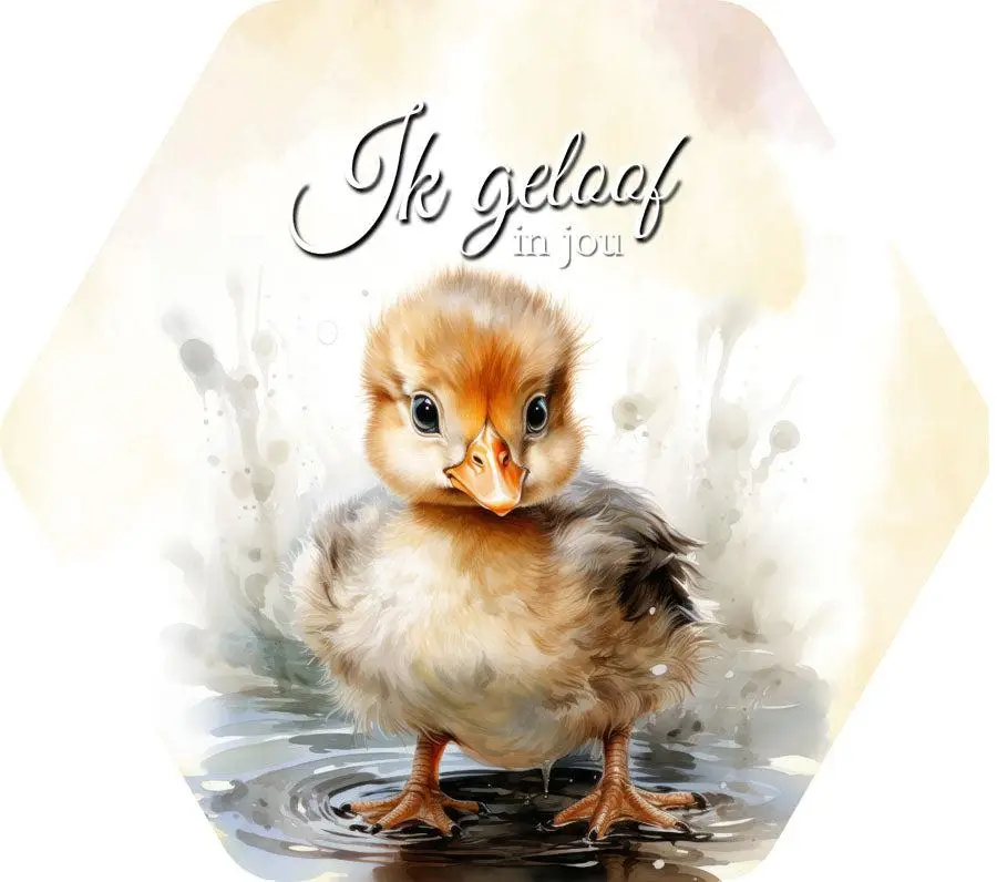 Bord Ik geloof in jou