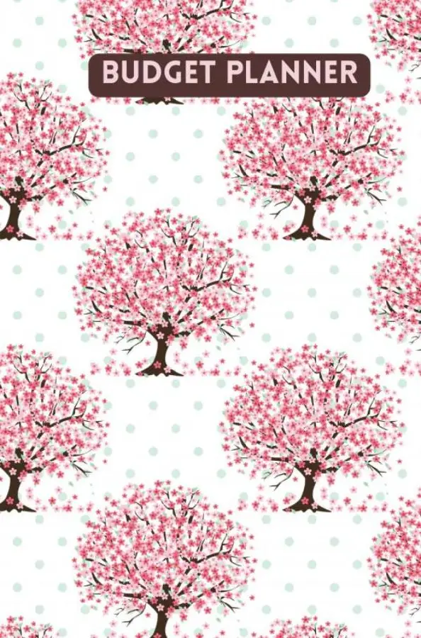 Budget planner - Kasboek - Huishoudboekje - Budgetplanner : Law of Attraction Editie