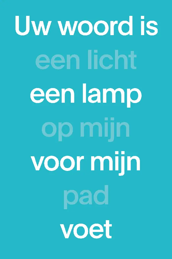 NBV21 Paperback (blauw)