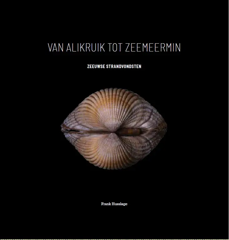 van Alikruik tot Zeemeermin