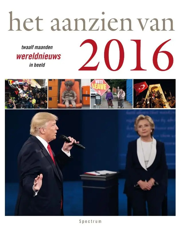 Het aanzien van 2016