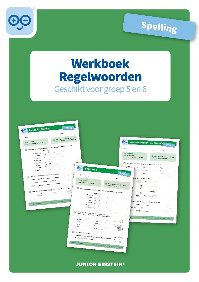 Regelwoorden geschikt voor groep 5 en 6 / Spelling / Werkboek