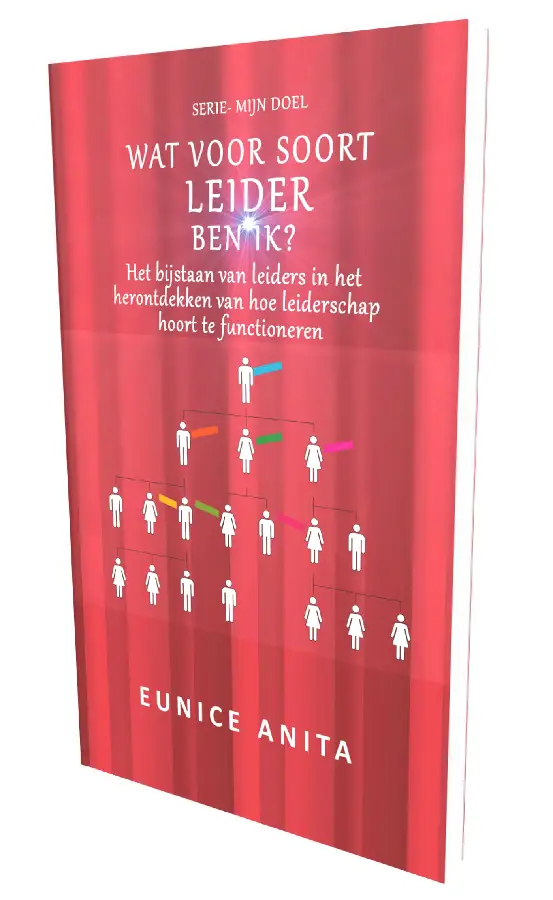 Wat voor soort leider ben IK?