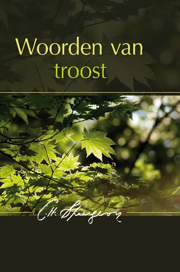 Woorden van troost - eBoek
