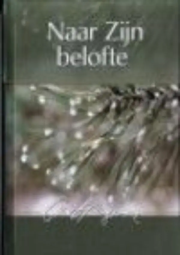 Naar zijn belofte - eBoek