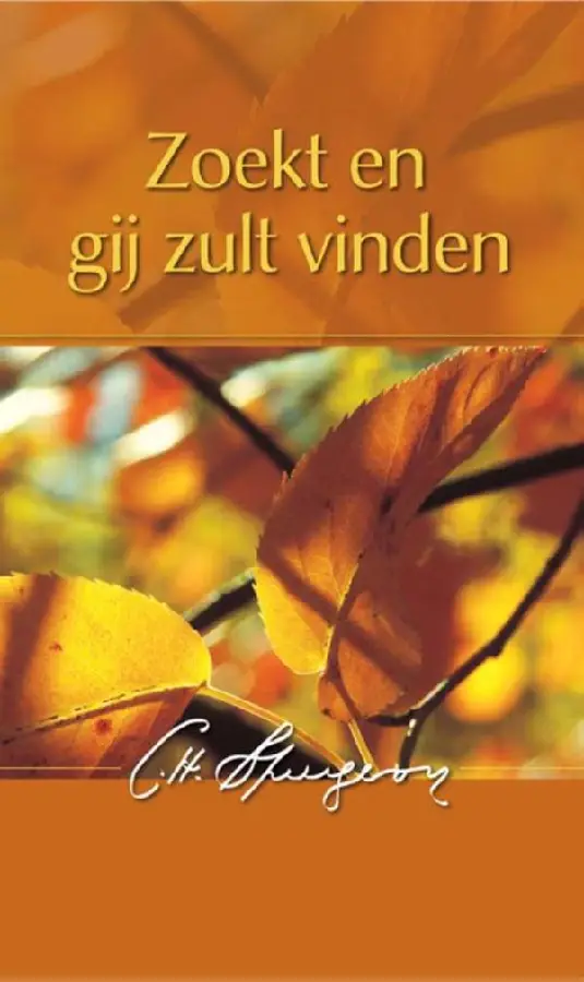 Zoekt en gij zult vinden - eBoek