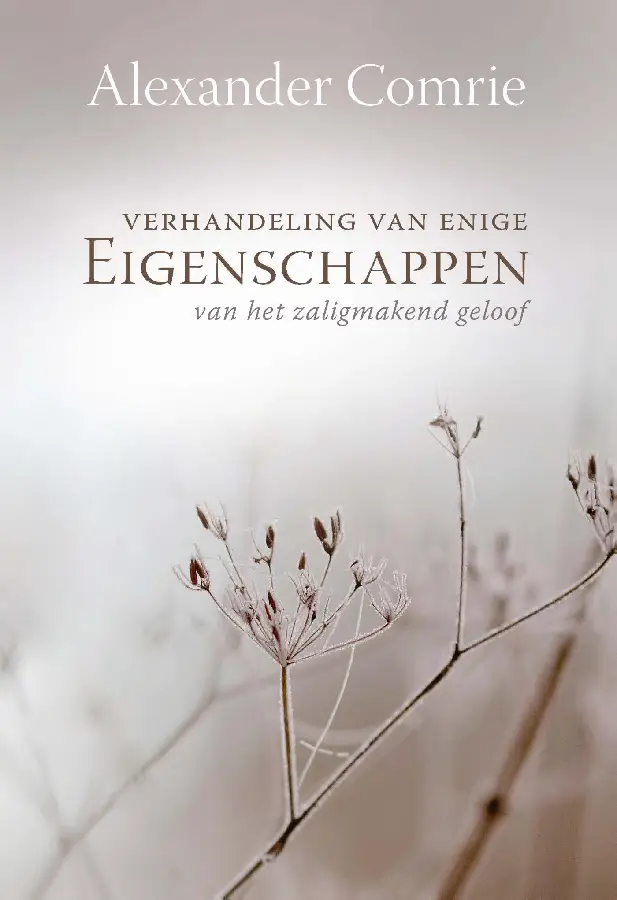 Eigenschappen des geloofs - eBoek