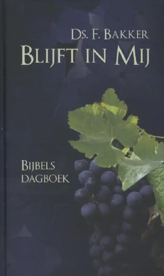 Blijft in mij - eBoek