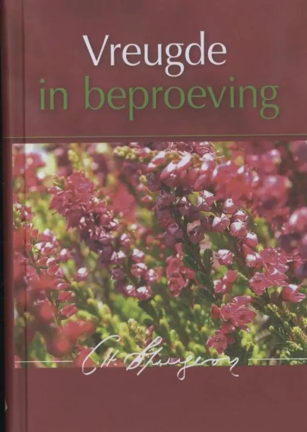 Vreugde in beproeving - eBoek