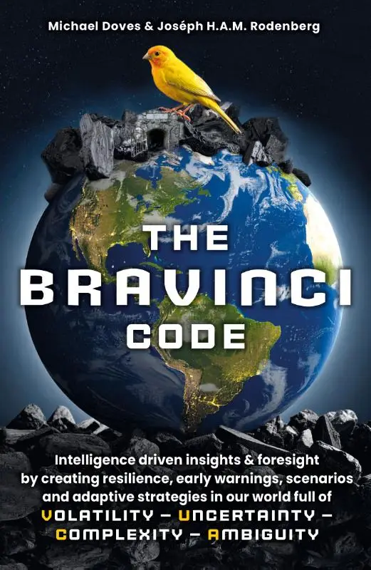 The Bravinci code