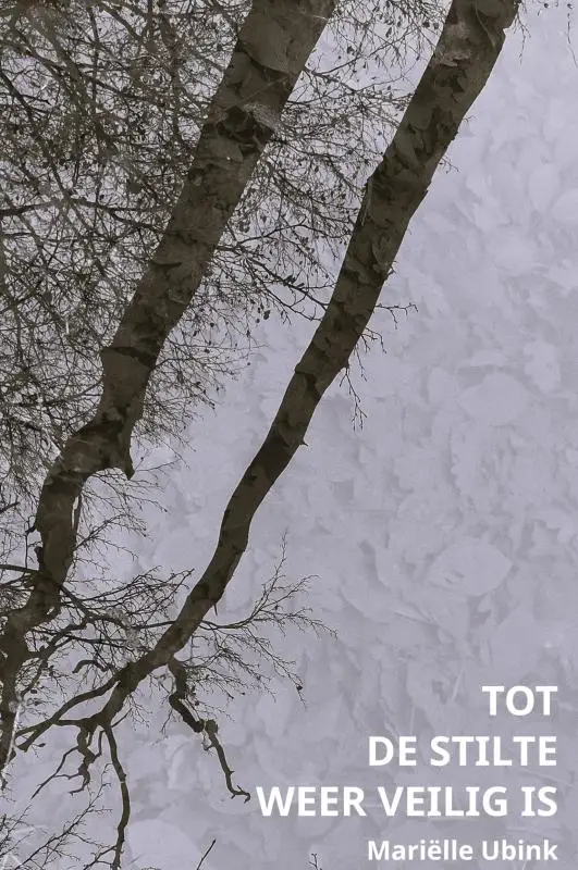 Tot de stilte weer veilig is