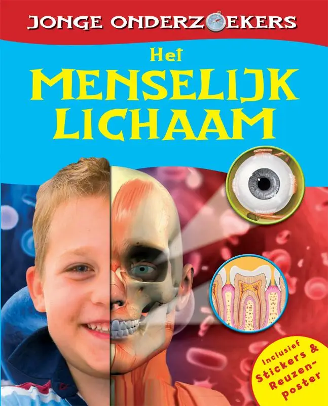 Het menselijk lichaam